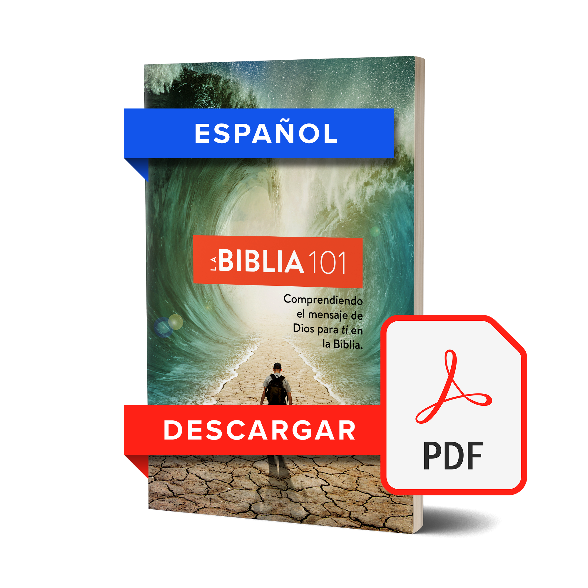 La Biblia 101 Libro Electrónico  (Español)