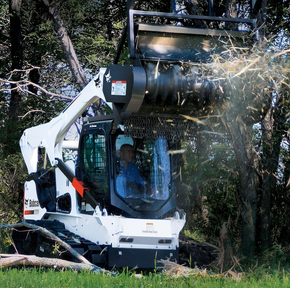 bobcat.png