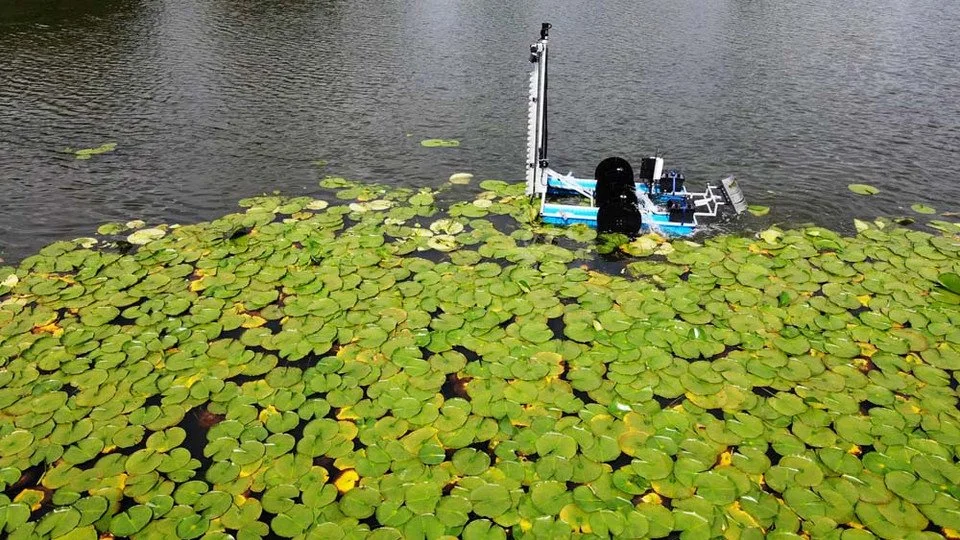 WS_Cutting_lilly_pads_weed_edge__98529.jpg