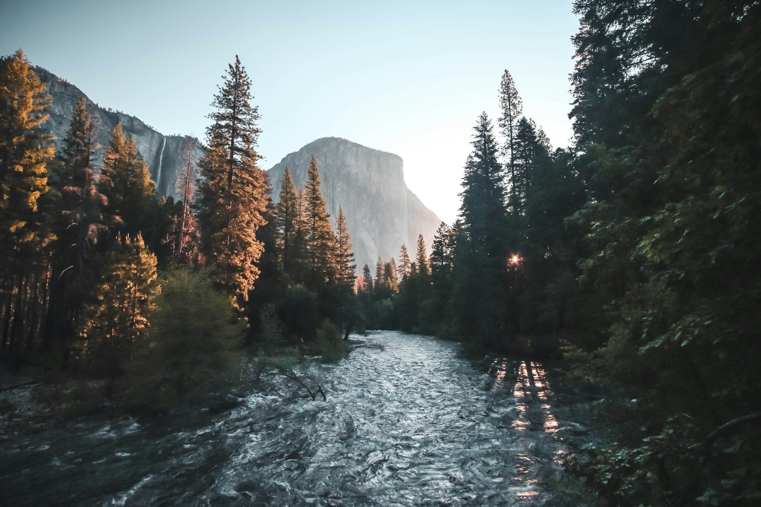 A river flowing through a dense forest with tall pine trees, mountains, and a clear sky in the background at sunset.
