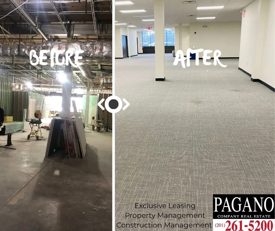 Pagano Company Bridges the Gap Between Outdated Office Spaces and Modern Business Vision