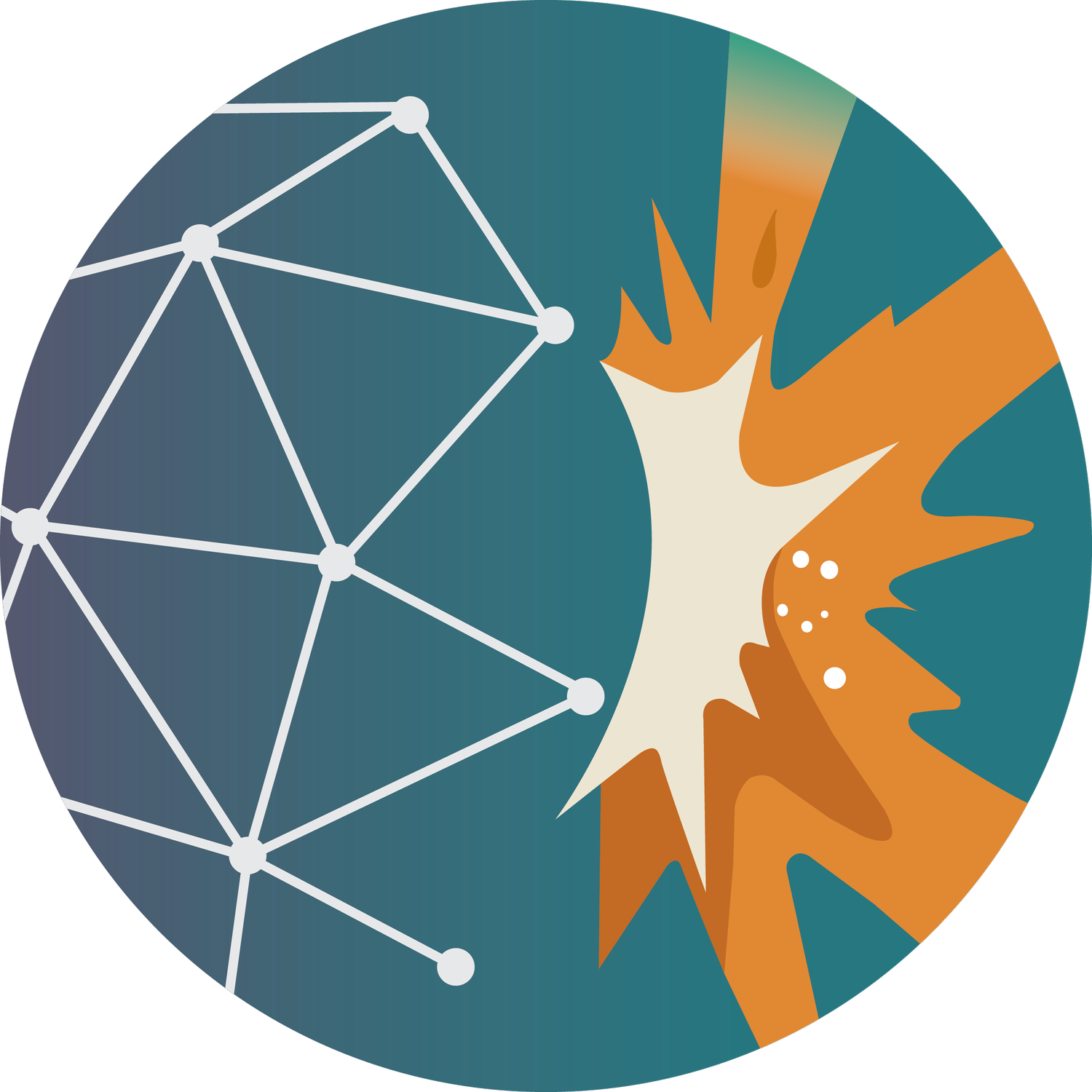 Praxis Operations Advisors