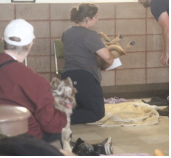 Screenshot 2025-10-20 at 1.09.57 PM.png