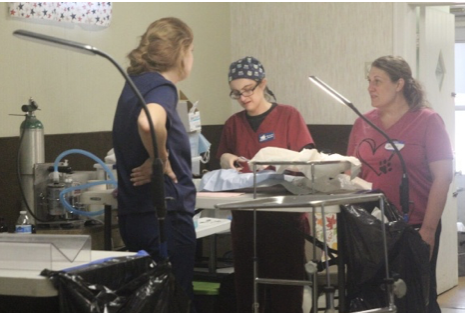 Screenshot 2025-10-20 at 1.07.39 PM.png