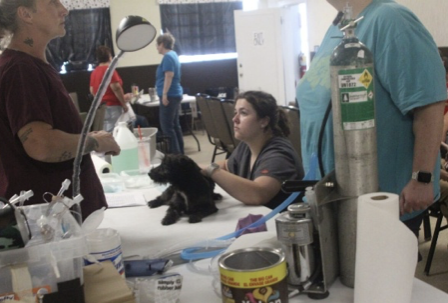 Screenshot 2025-10-20 at 1.06.33 PM.png