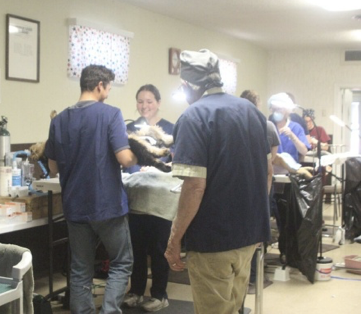 Screenshot 2025-10-20 at 1.06.53 PM.png