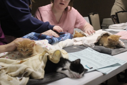 Screenshot 2025-10-20 at 1.07.17 PM.png