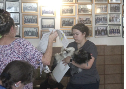 Screenshot 2025-10-20 at 1.09.40 PM.png