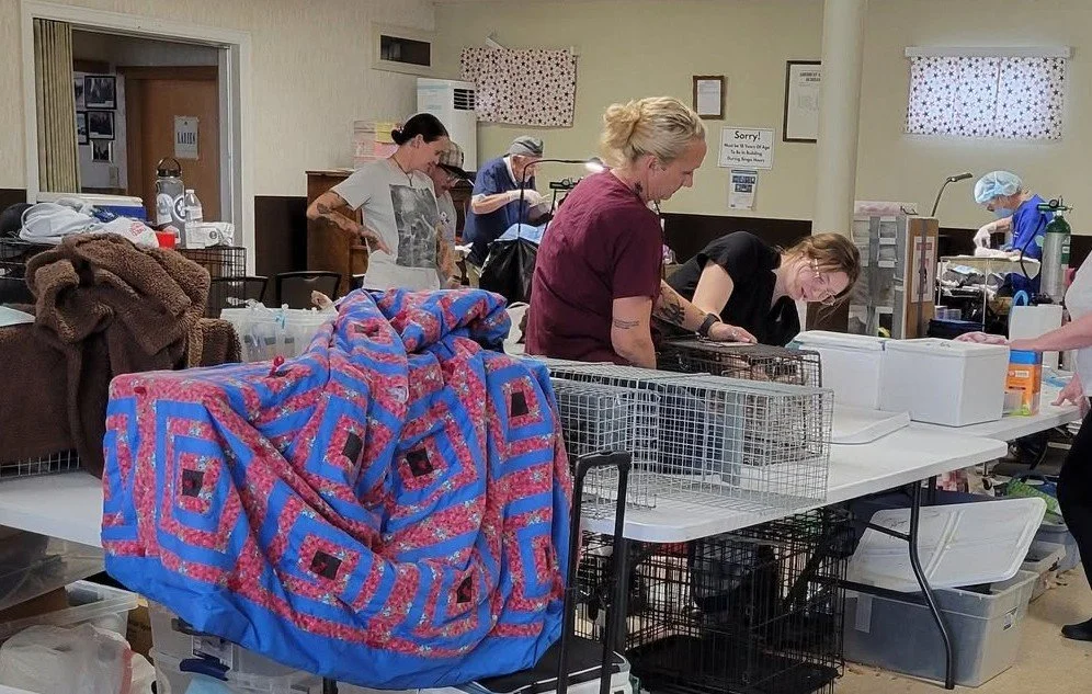 Fall Clinic - Spay/Neuter, Vaccinations, Microchips
