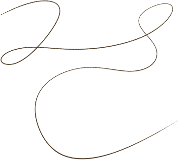 Anna Hudson Photography branding squiggle