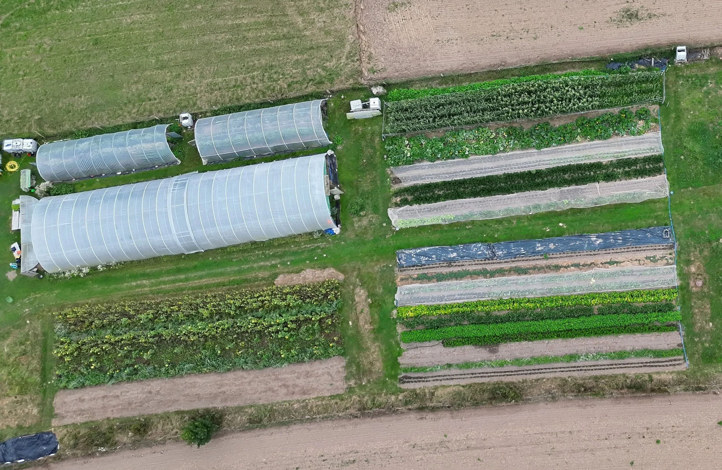 Bestandskontrolle / Flurschäden