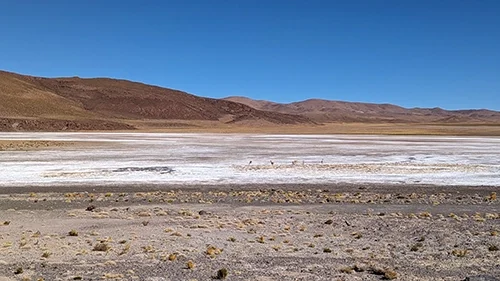 Argentina salar