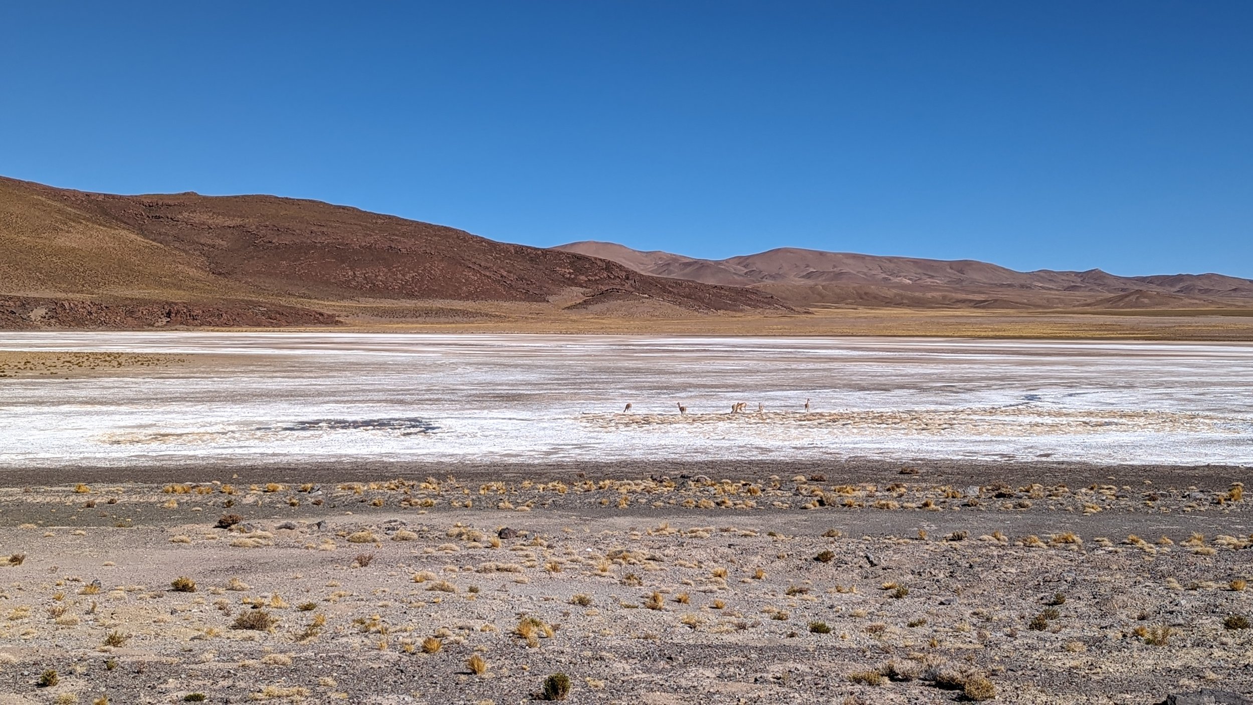Argentina salar