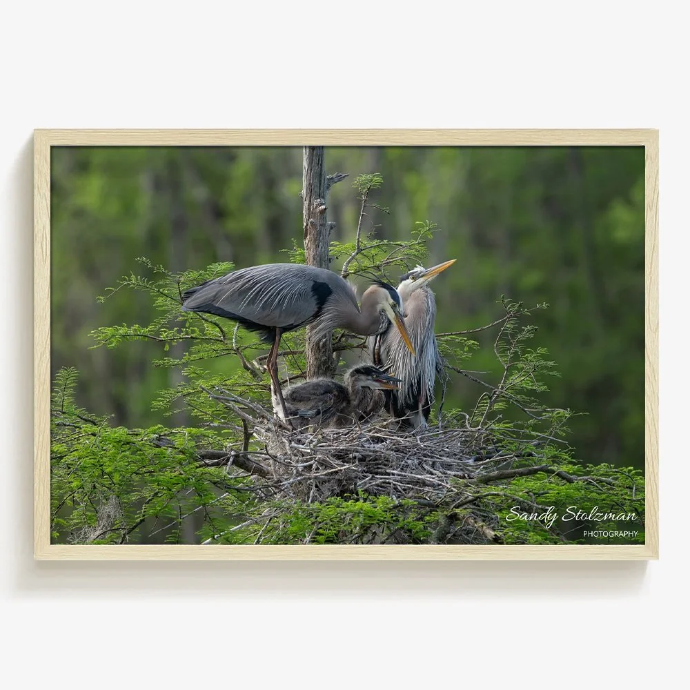 Nesting