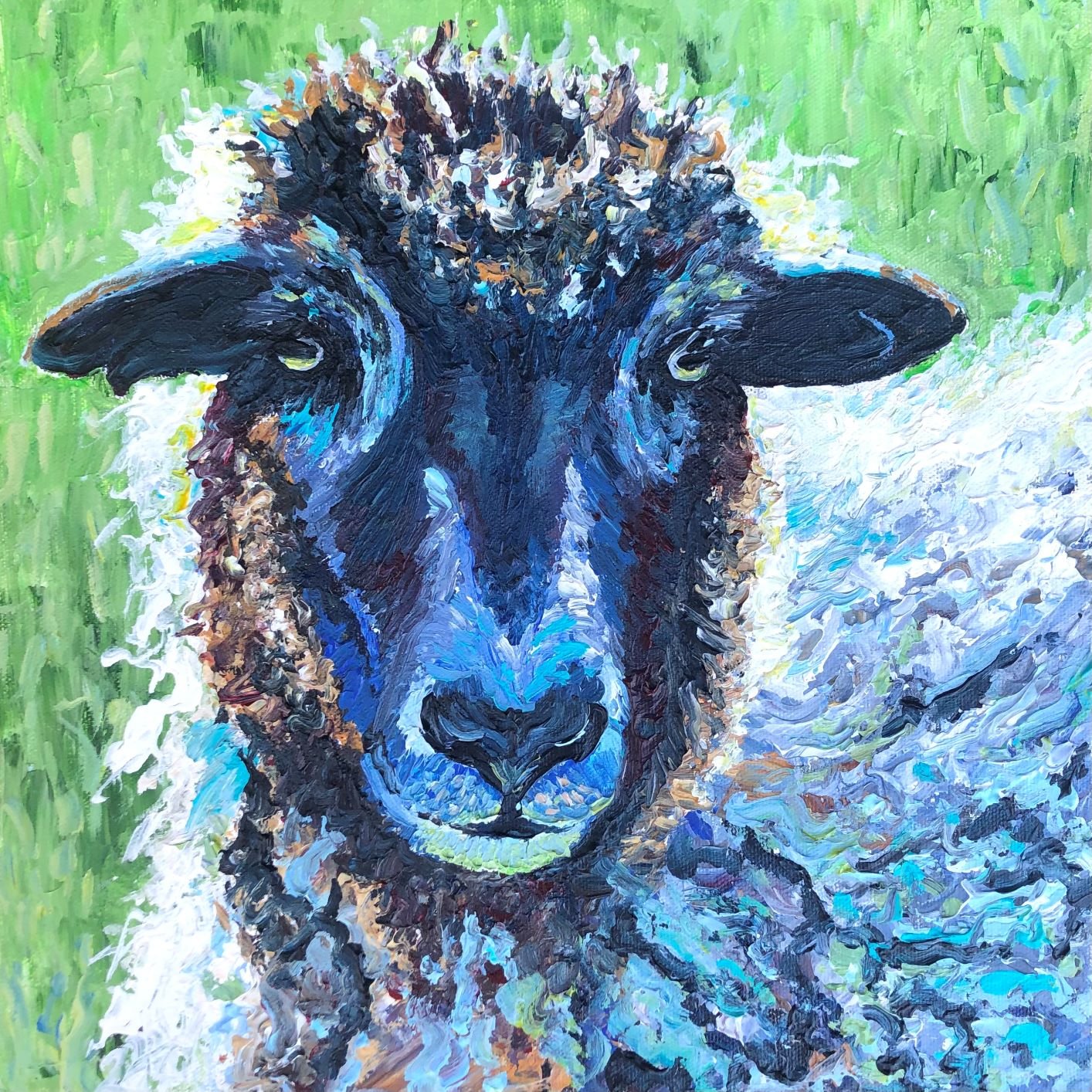 Black Sheep - sold