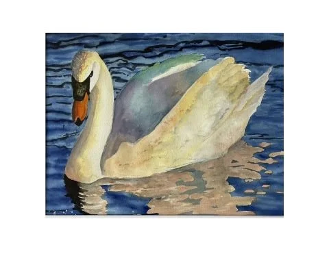 Windland_GracefulSwan2.jpg