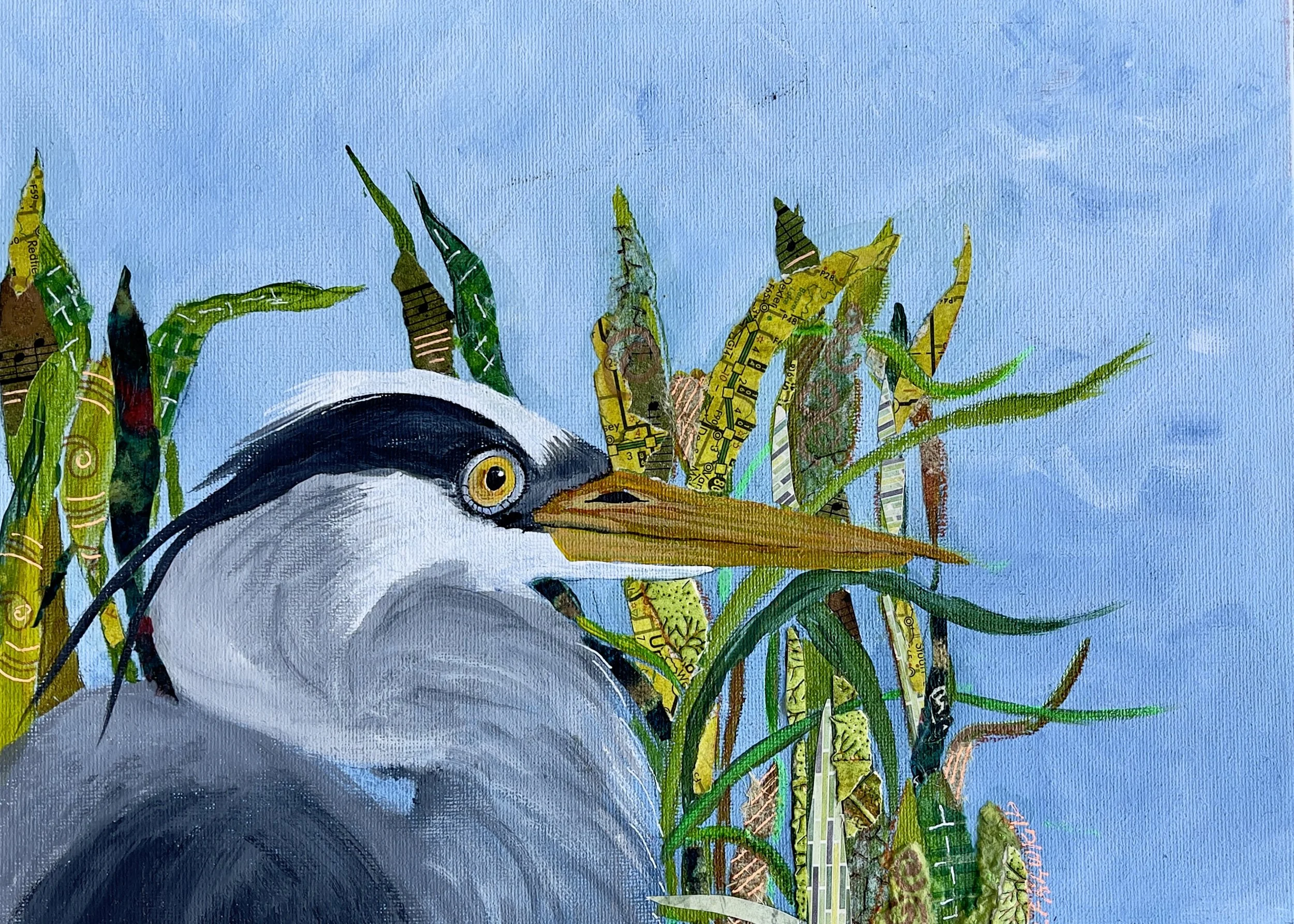 Windland_GreatBlueHeronSeagrass.jpg