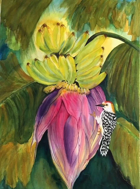 Windland_Banana Blossom with Bird.jpeg