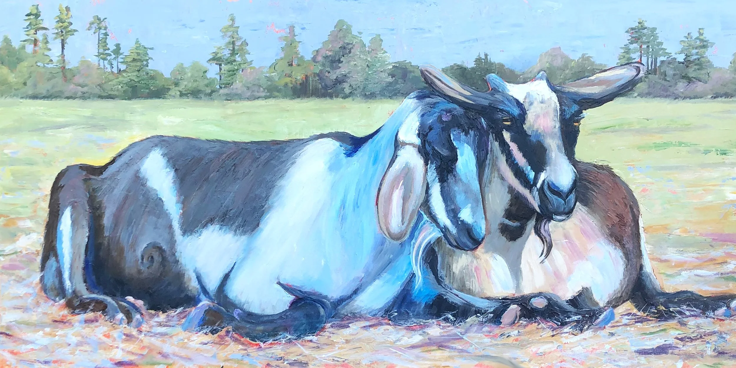 Goats - sold