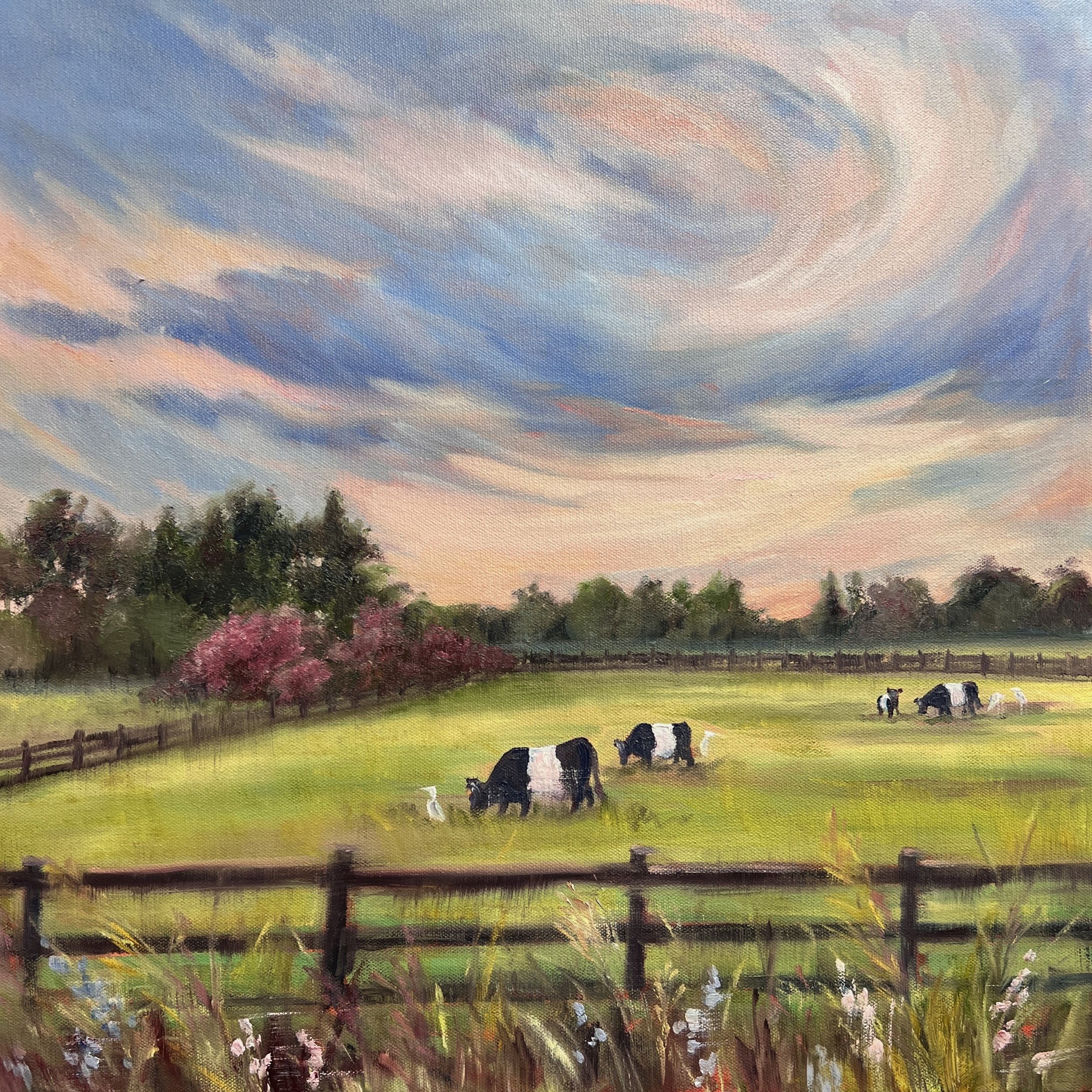Kiawah Blush Cows