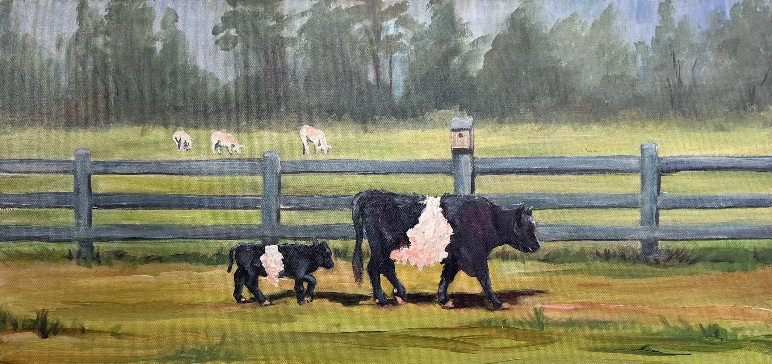 A painting of a farm with a black mother cow and her calf walking along a grassy field near a grey wooden fence, with three calves grazing in a distant field and a forested area in the background.