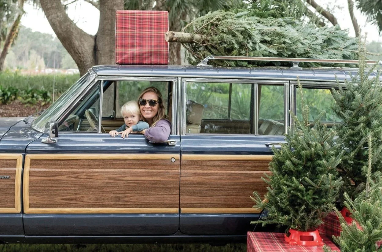 Modern wooden house with large glass window, surrounded by low shrubs, with mountain range in the background