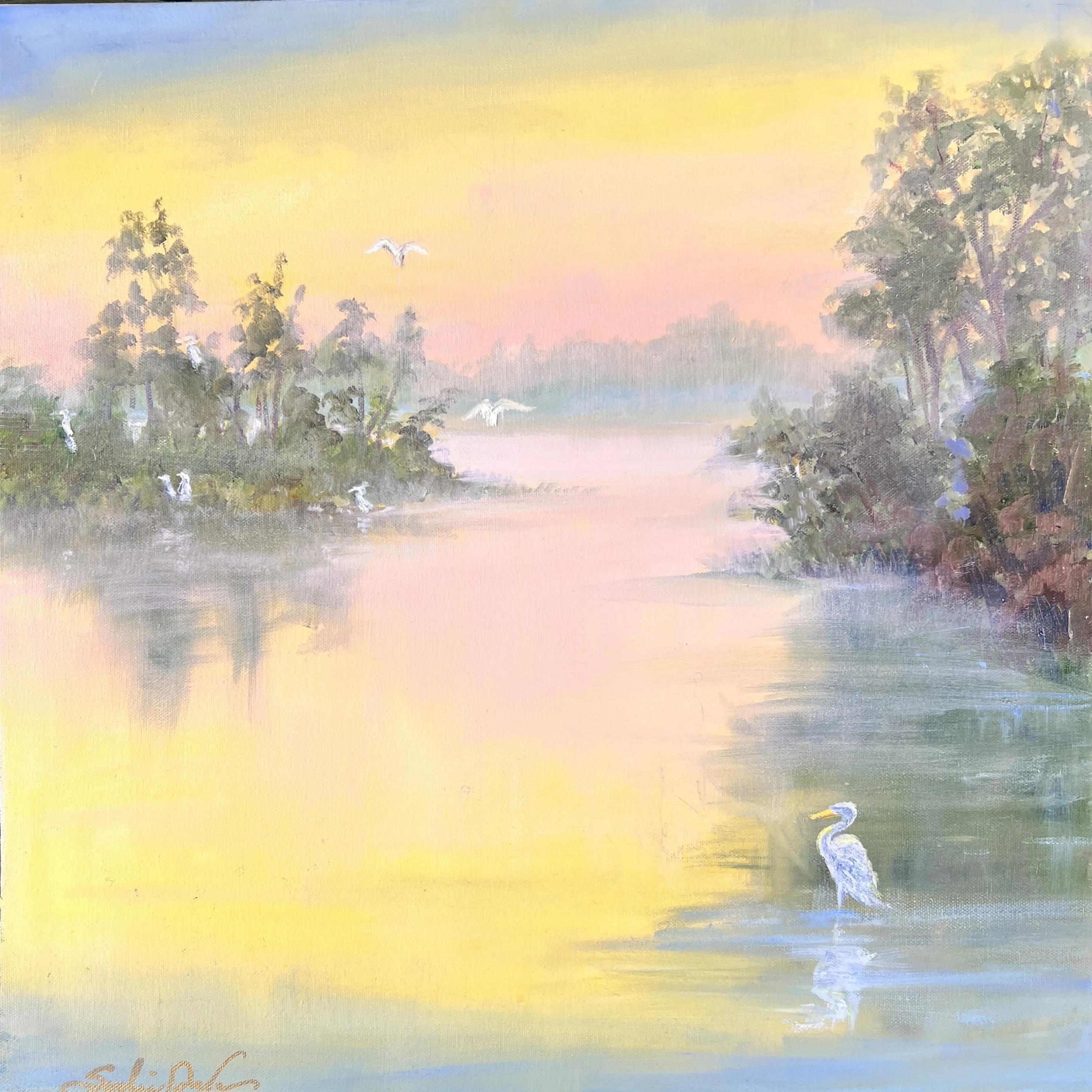 Egret Gathering
