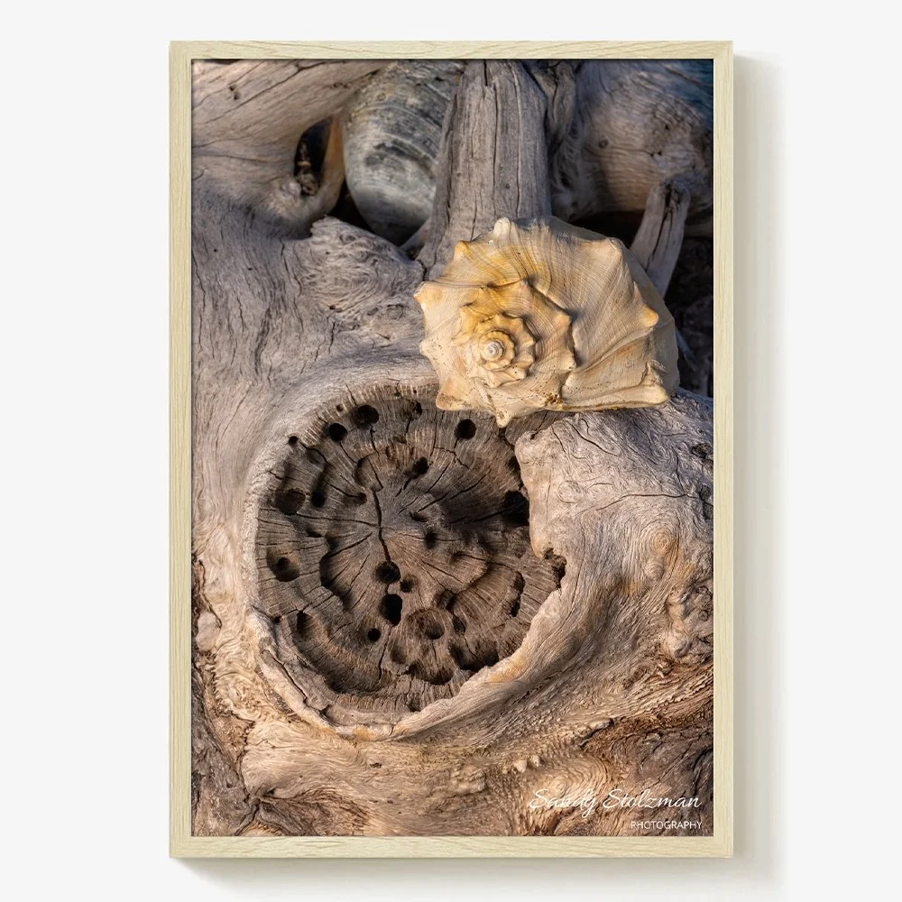 Botany Bay