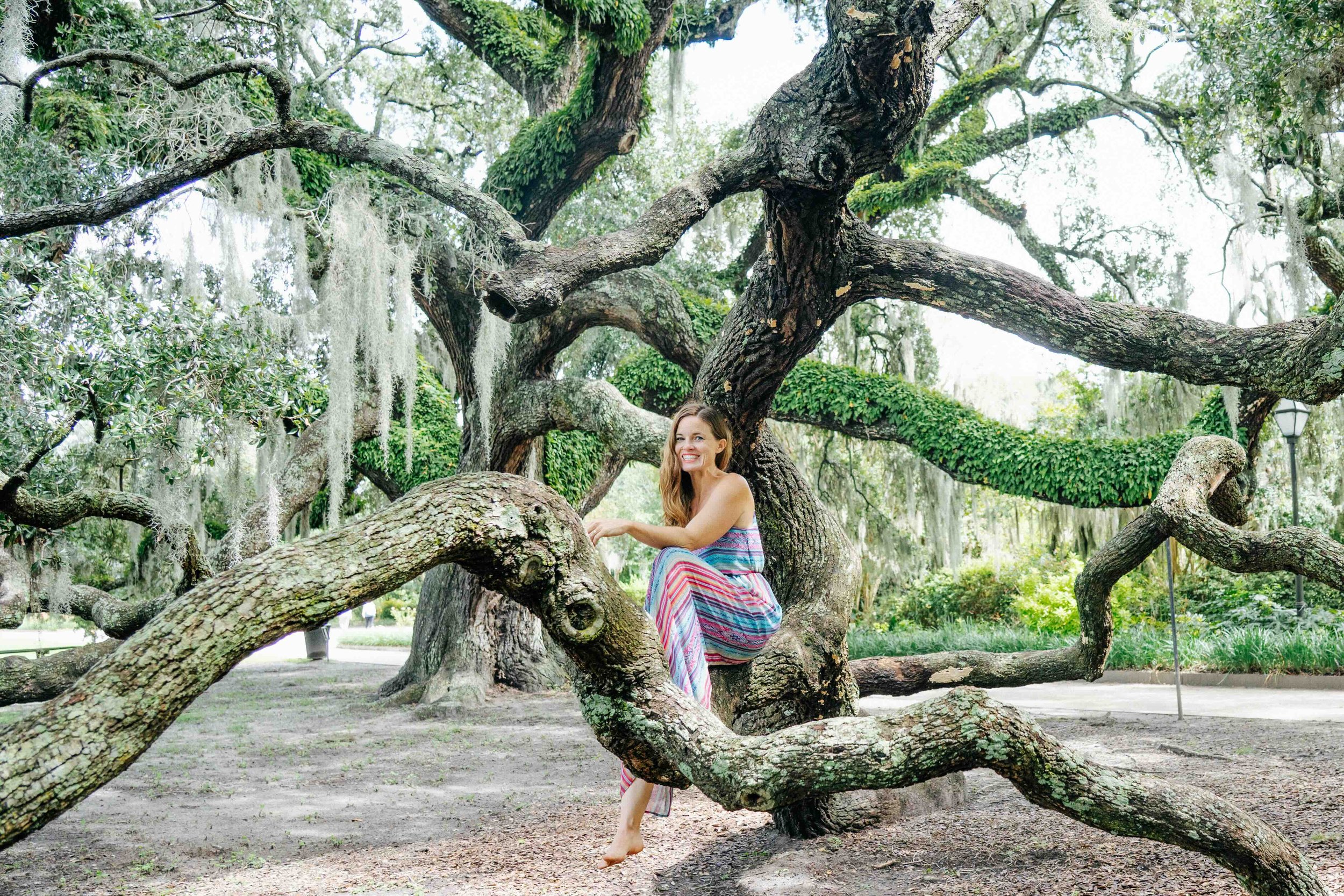 A smiling woman in a colorful striped dress sitting on a low branch of a large, sprawling tree with twisting branches in a lush, green park.