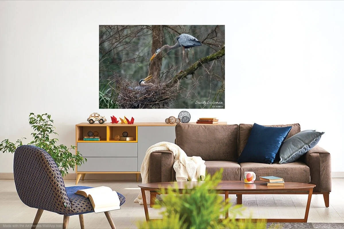 wallapp-BlueHeron-Gardens.jpg