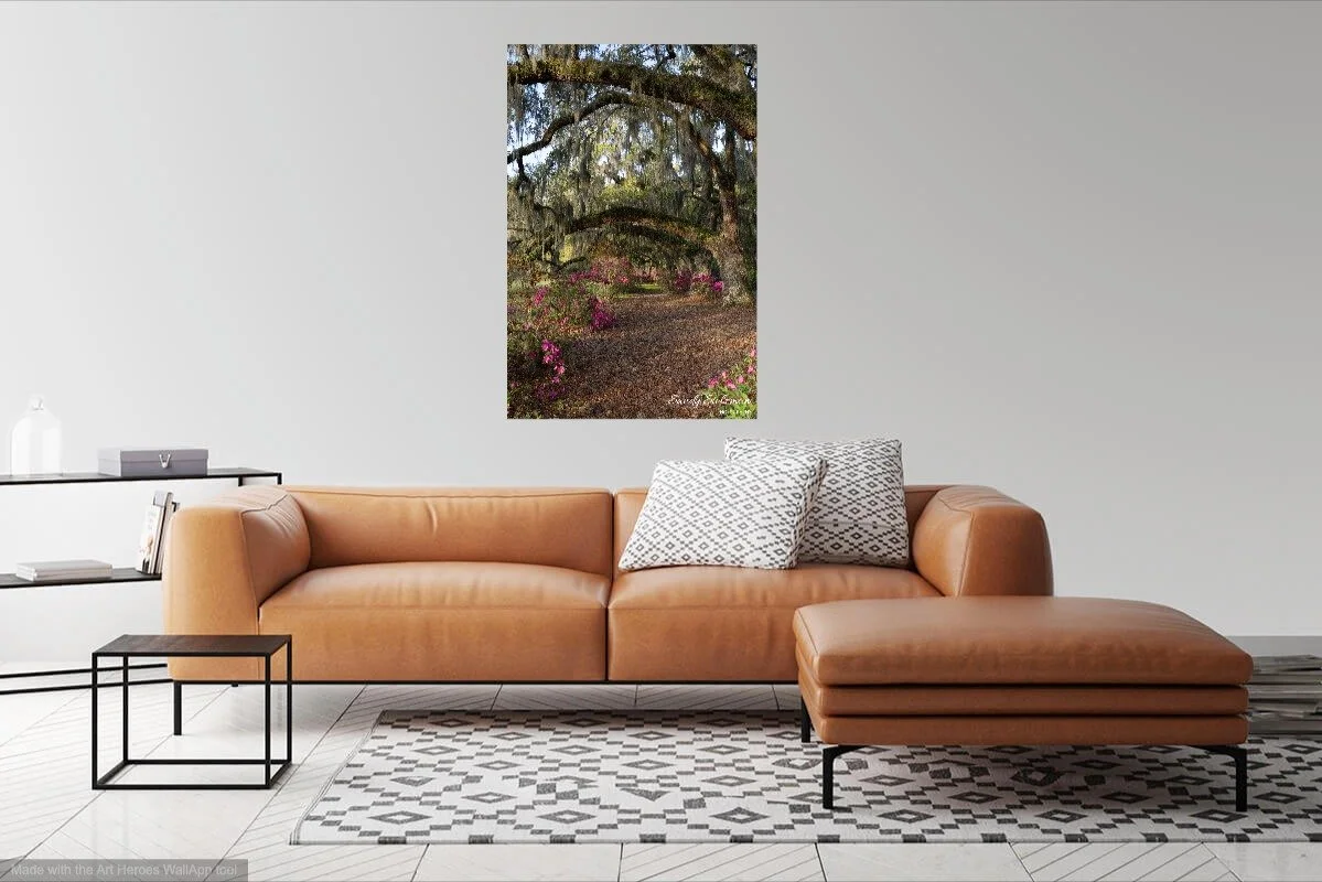 wallapp-Magnolia Gardens-004539.jpg