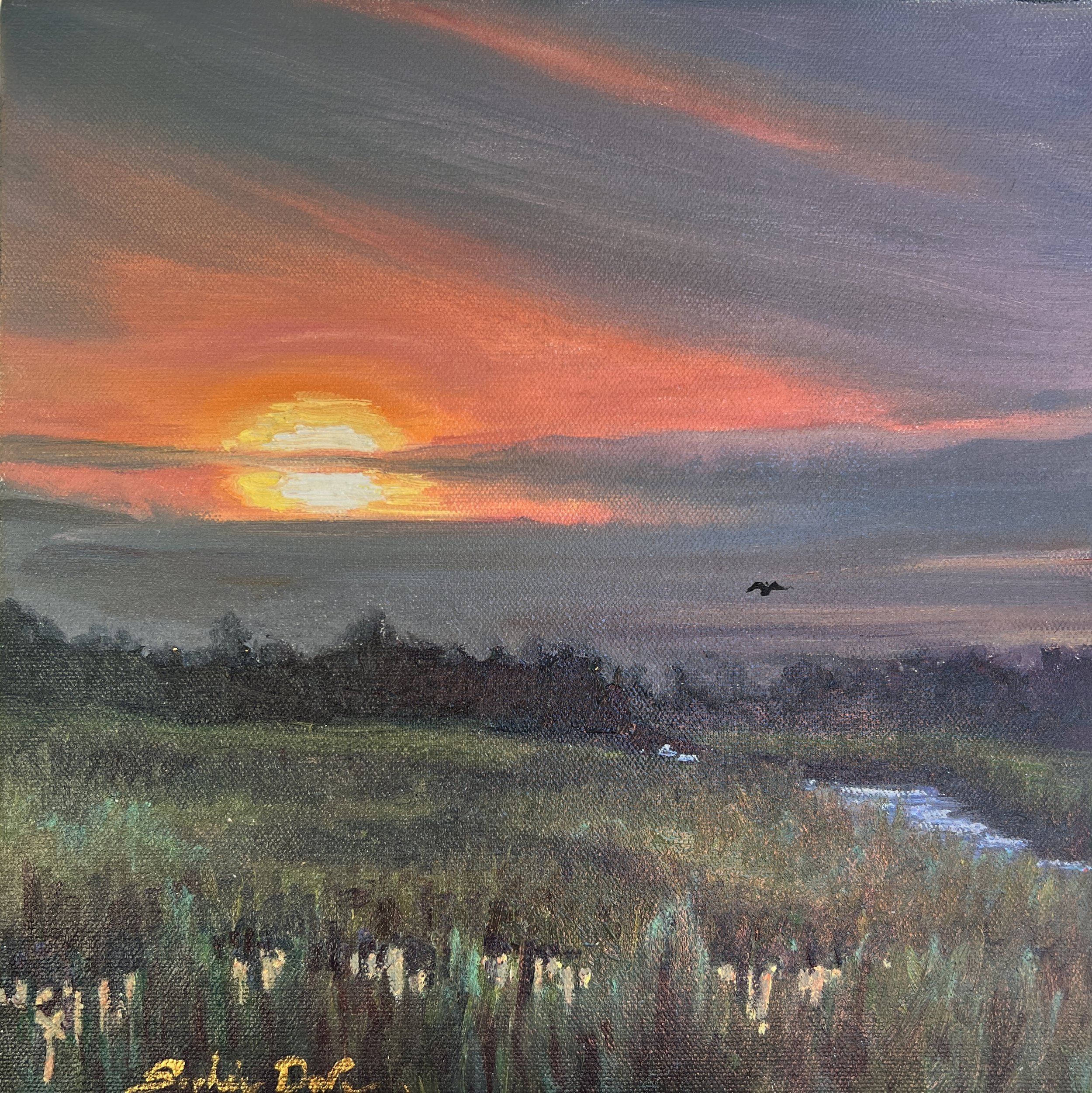 Kiawah at Dawn