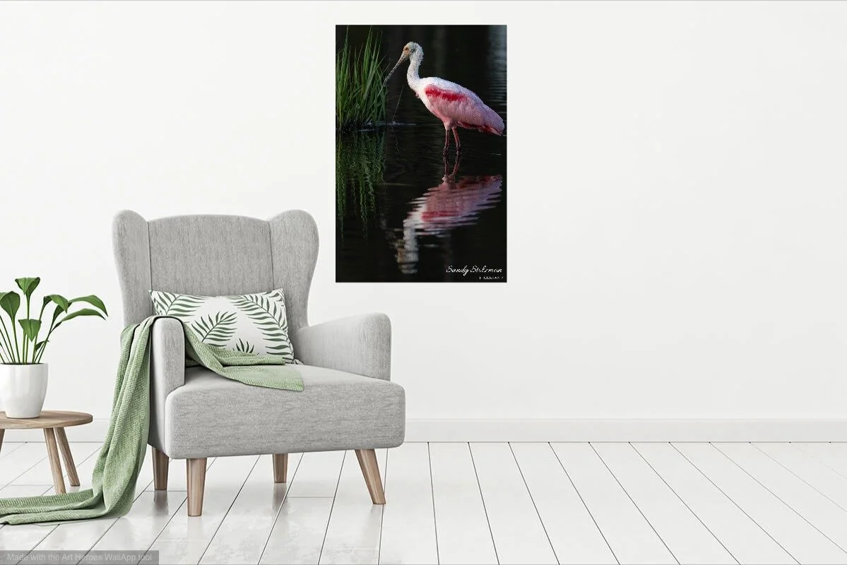 wallapp-Spoonbill-010402.jpg