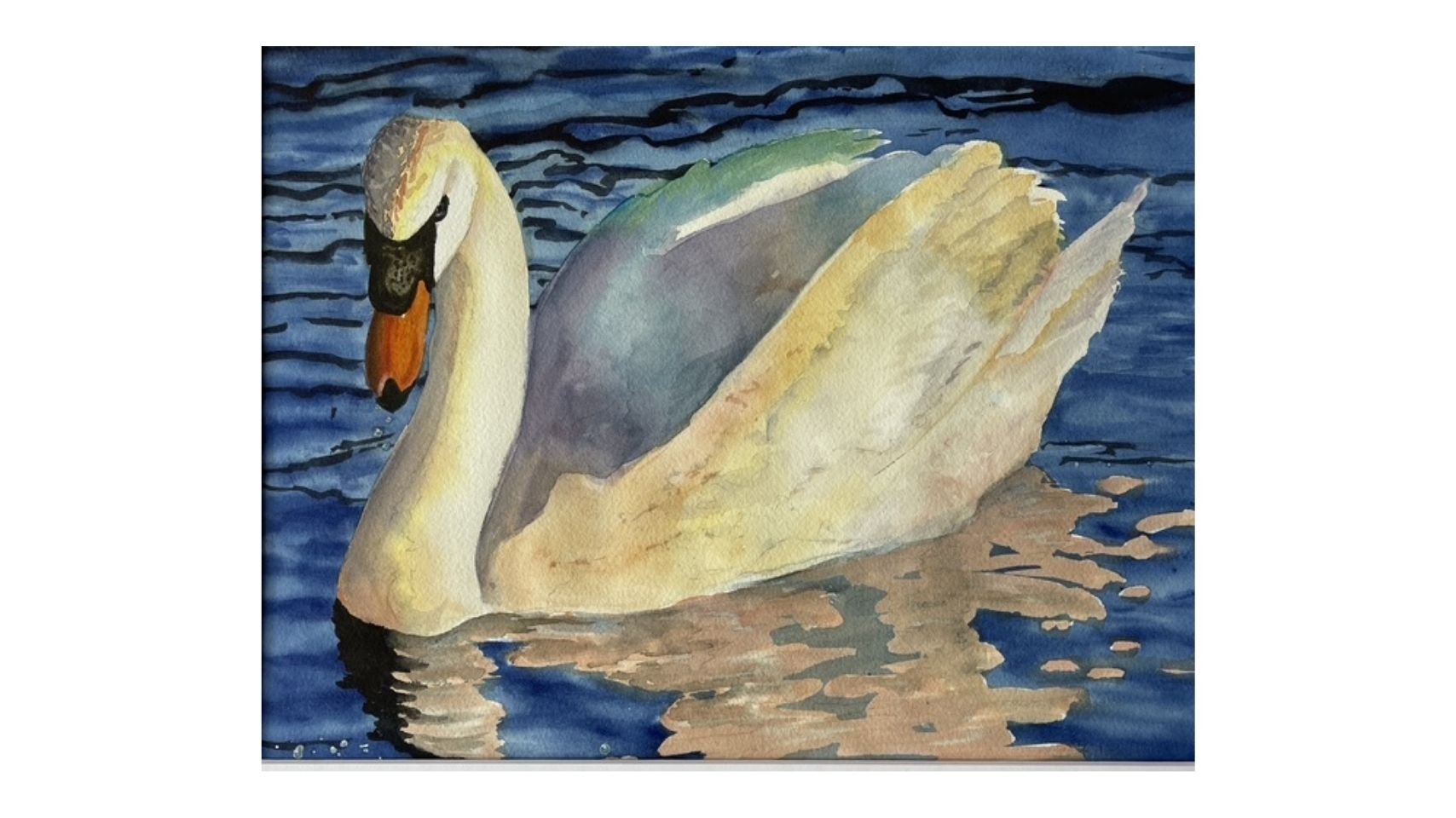 Graceful Swan