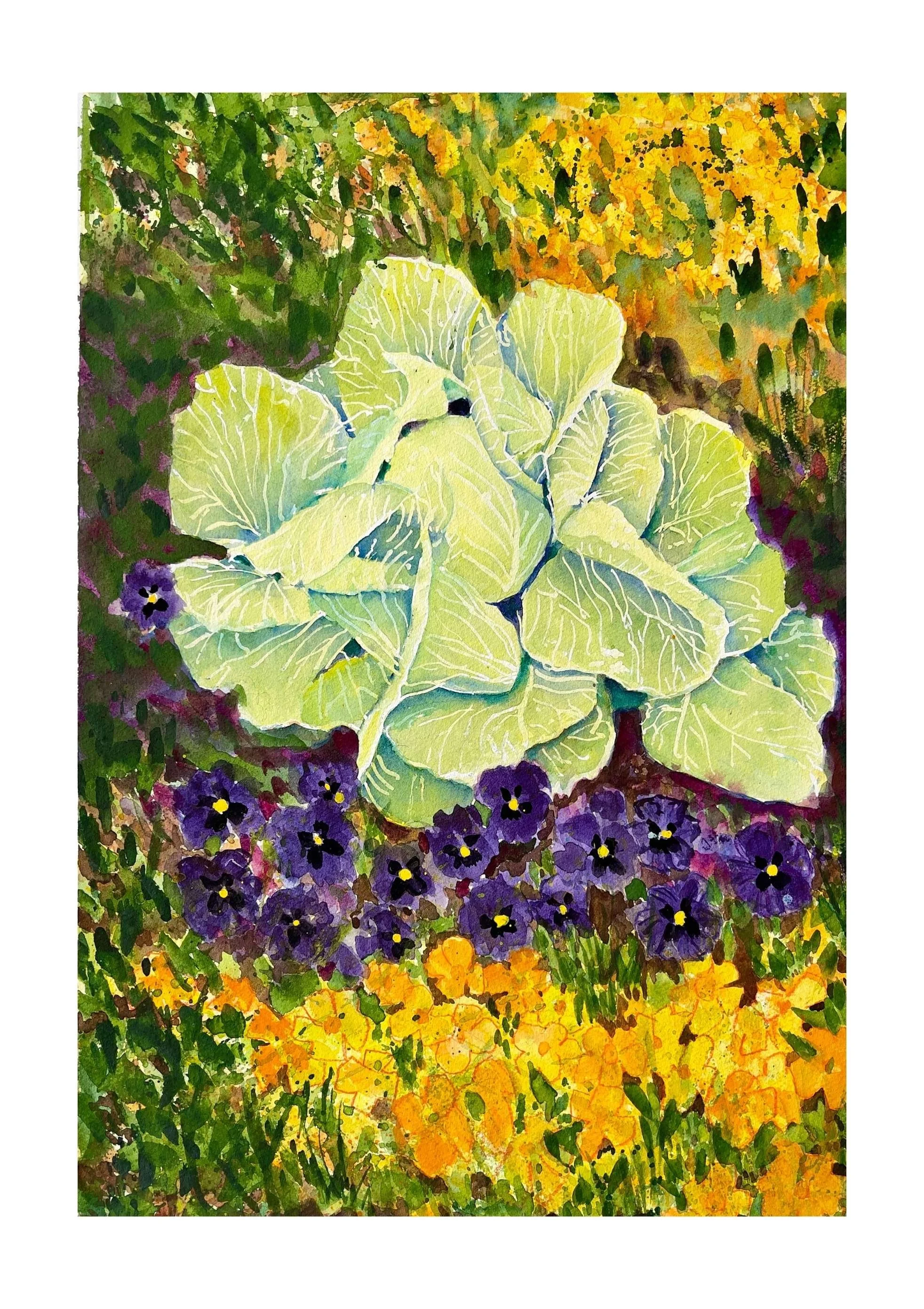 Windland_Cabbage.jpg
