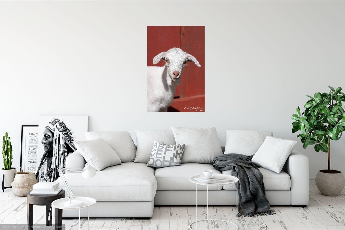wallapp-Goatery-220955.jpg