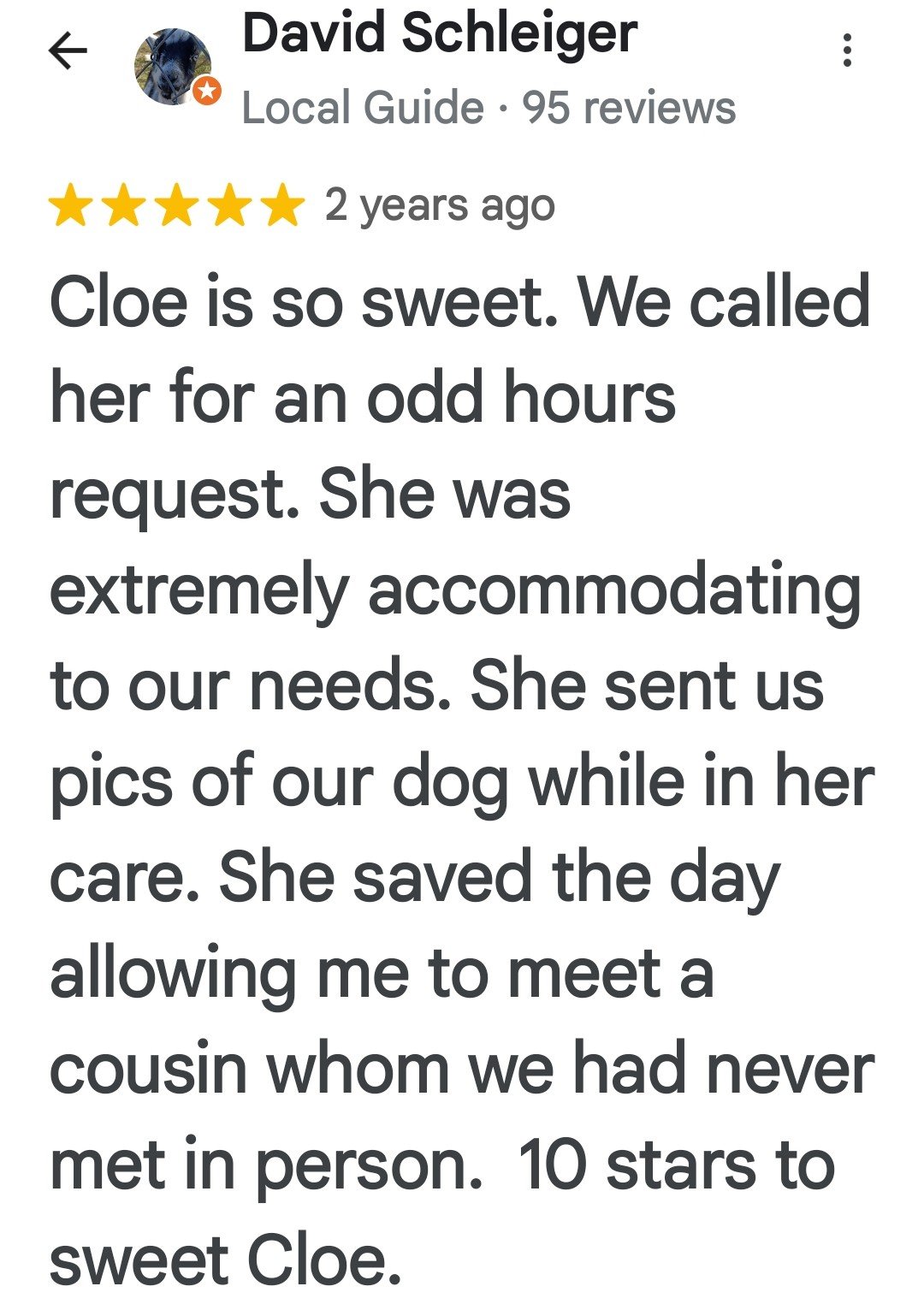 Screenshot of a Google review for a dog trainer, praising a dog named Cloé.