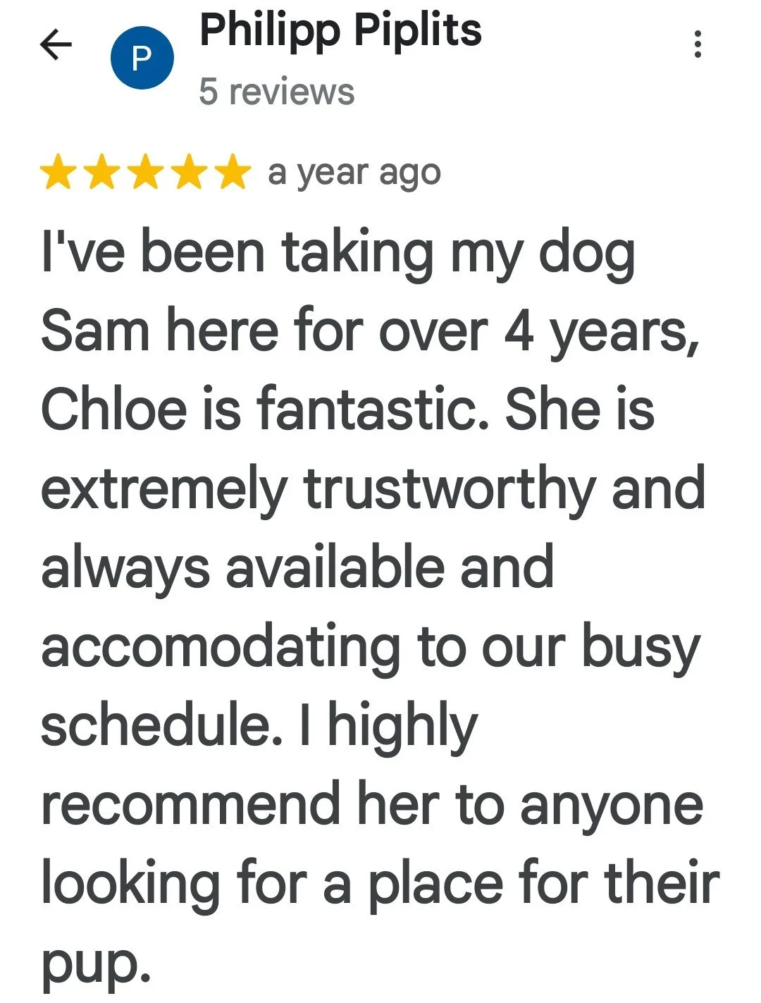 Screenshot of a Google review for Philipp Piplits, with five stars, written by an owner who has taken their dog Sam for over four years, praising Chloe as trustworthy, available, and accommodating.