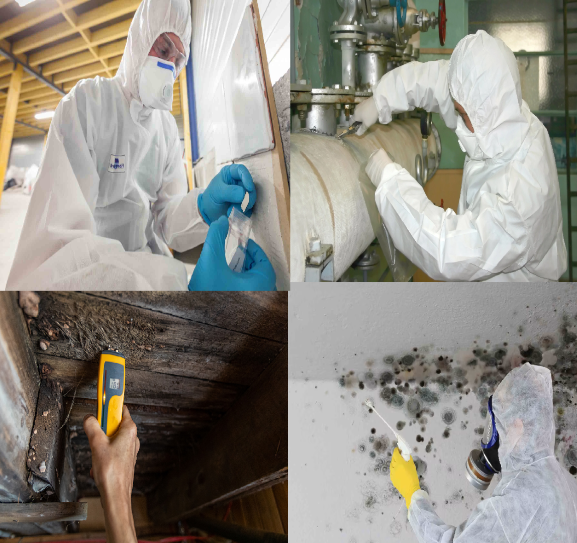 Workers in protective suits conducting testing for asbestos, lead-based paint, mold, and radon.