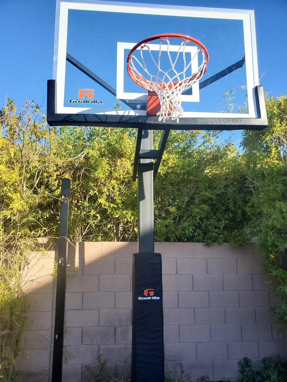 Goalrilla in-ground basketball hoop with padded pole installed in a Scottsdale backyard
