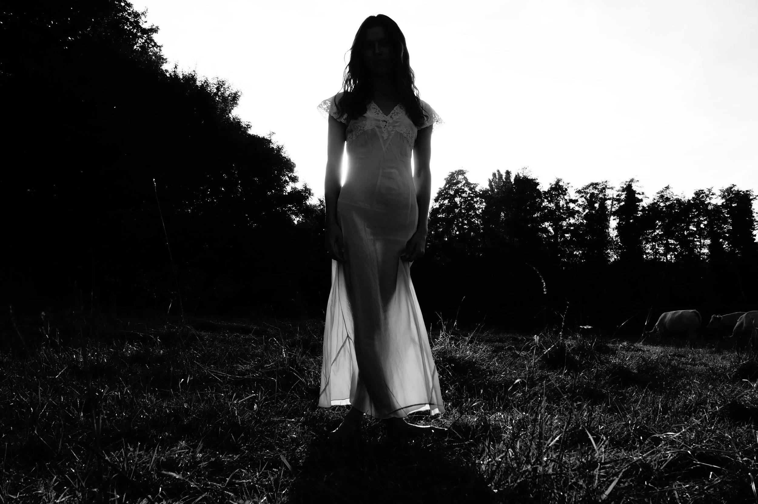 Silhouette of a woman wearing a long dress standing in a grassy field with trees and cows in the background, sunset or sunrise creating a backlit effect.