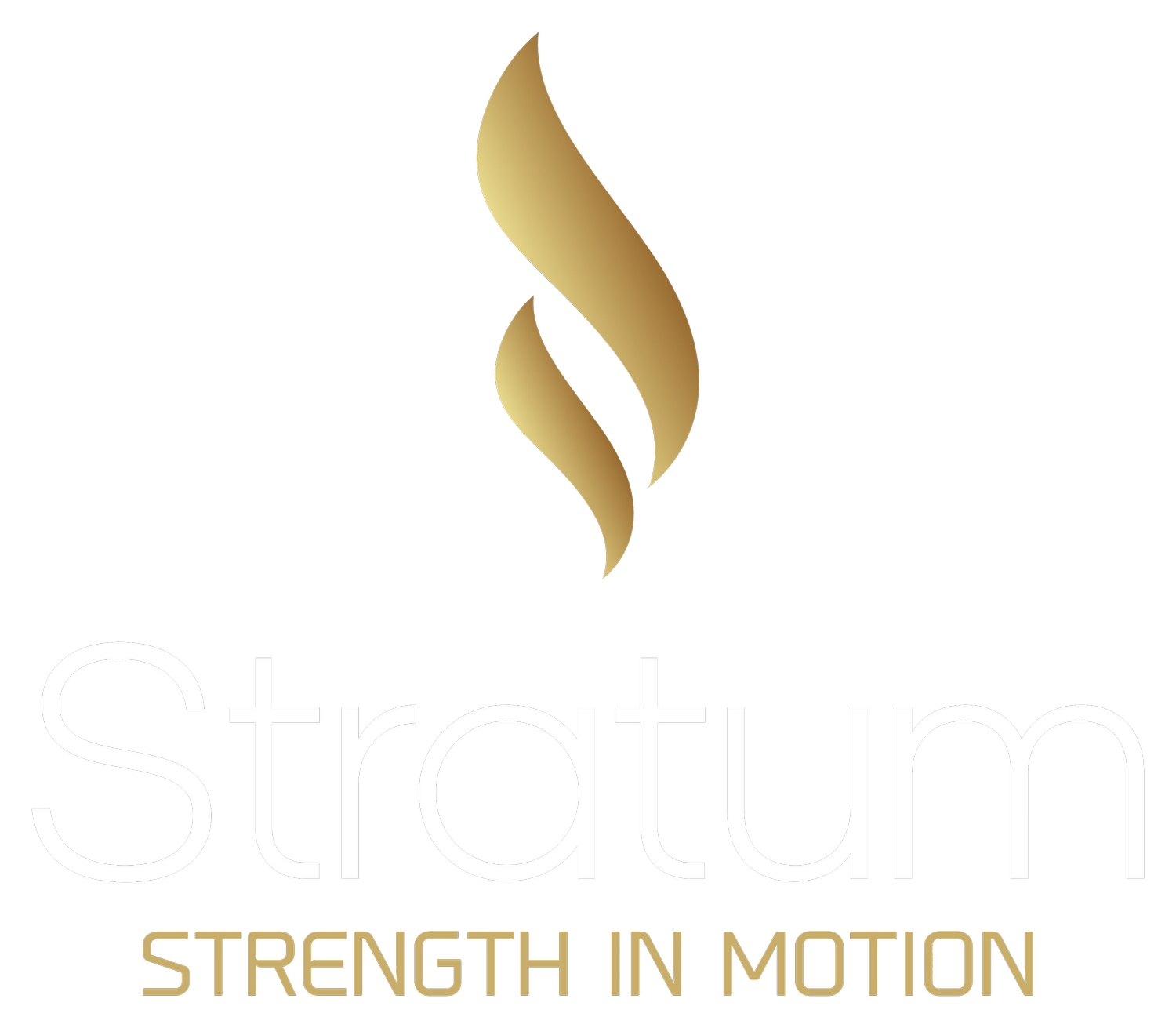 Stratum strength personal training, fitness, movement, wellness