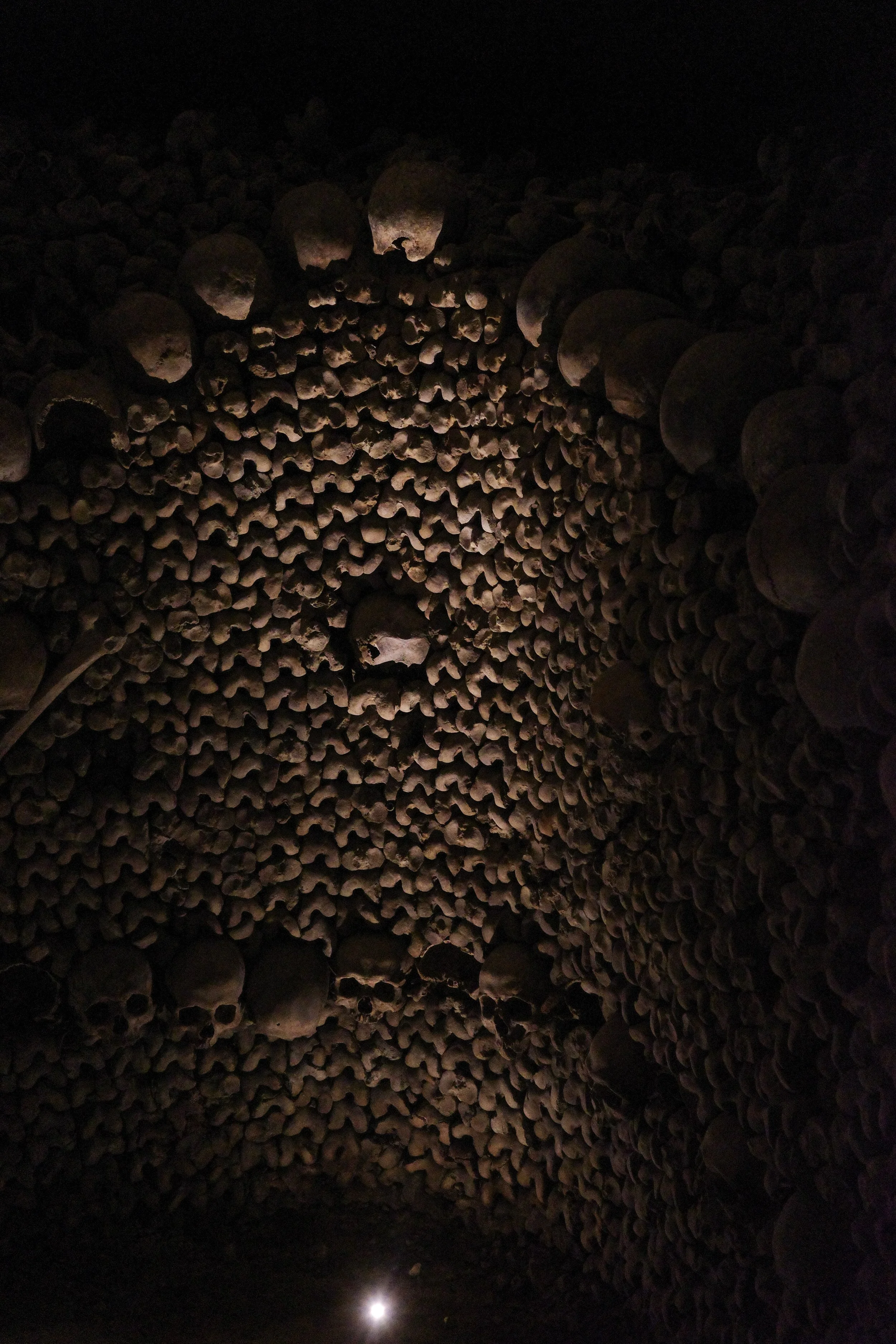 8-R0000900.jpg