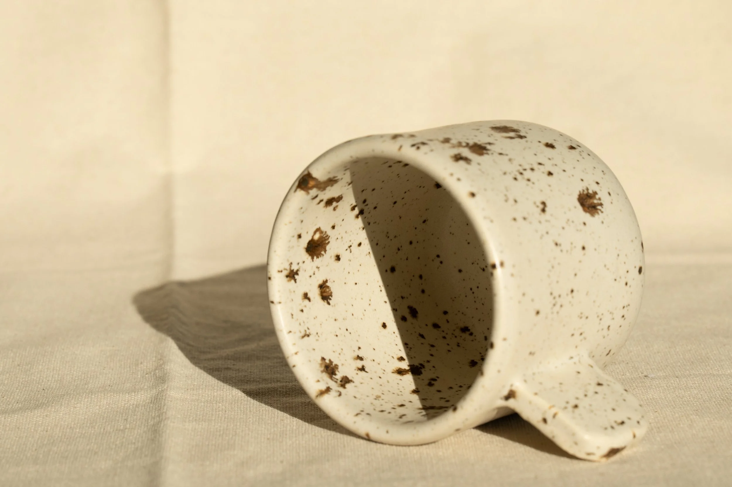 Speckle Mug