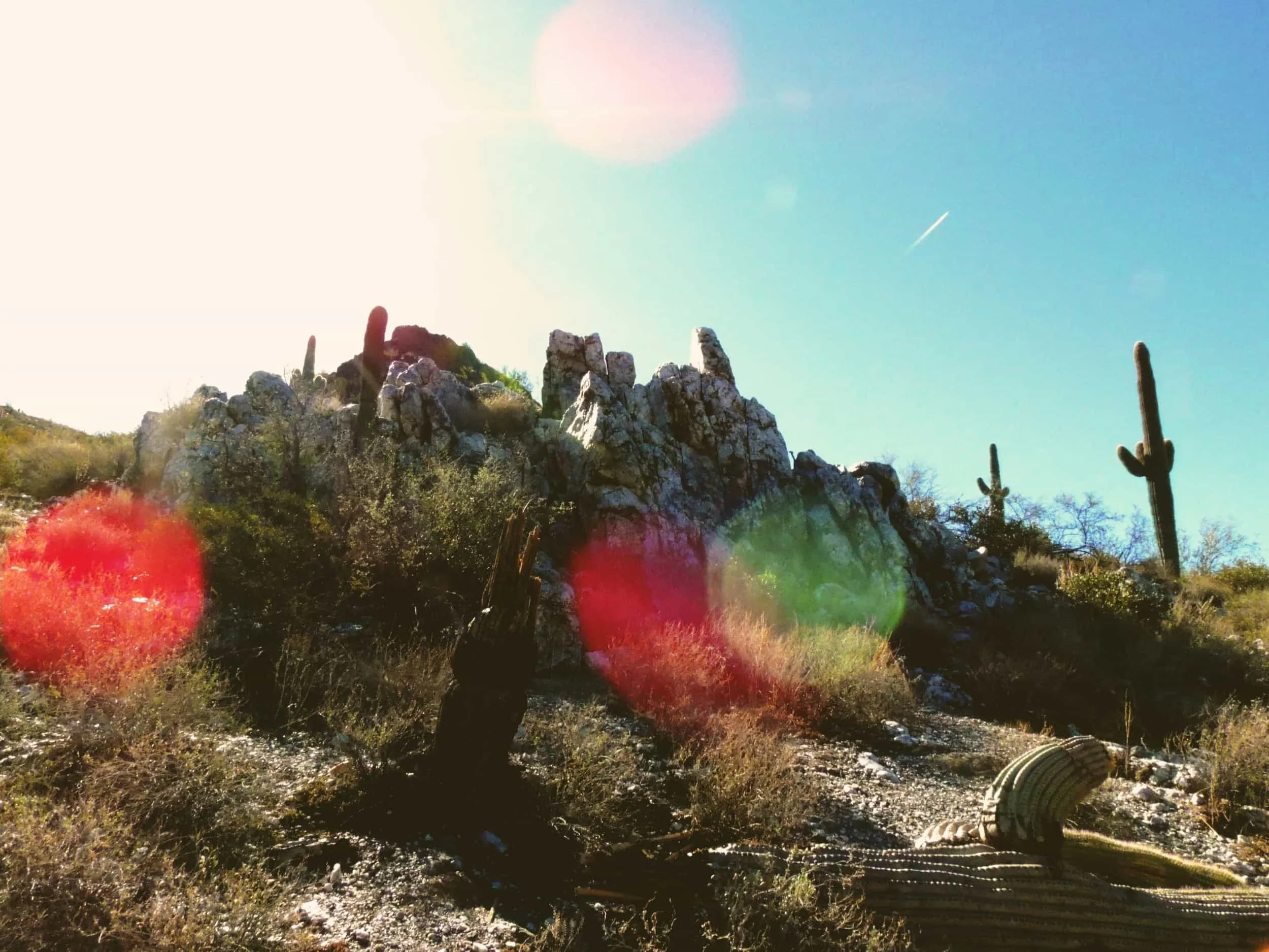 Outside in the desert with cactus and rocks with the sun shinning down - Job burnout what to do