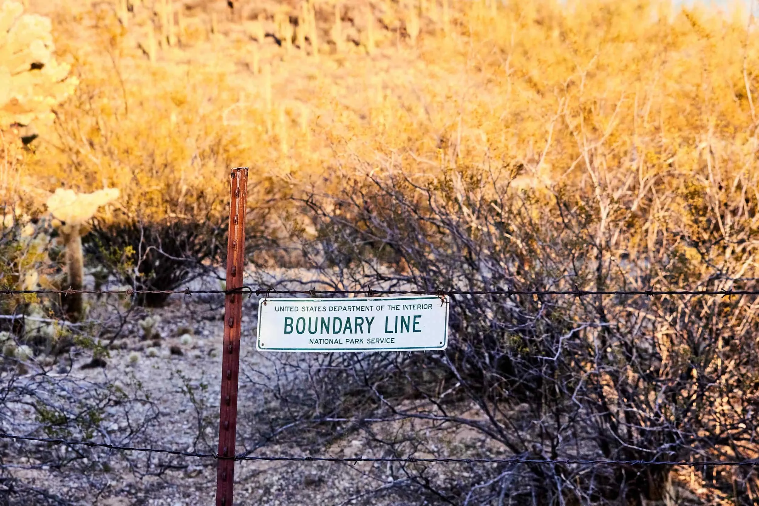 A wire fence outside with a sign that says boundary line - burnout recovery phoenix