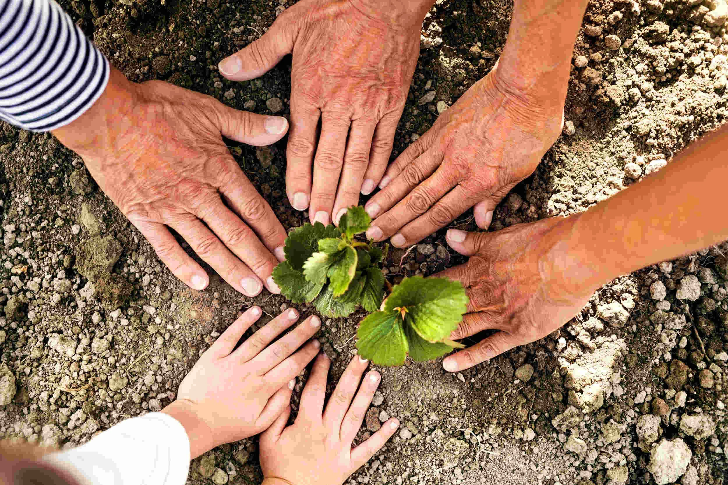 Five hands touching the soil on the ground with a green leaf - How to build a meaningful life
