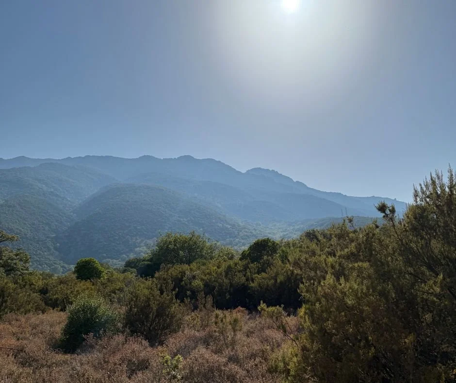 Breathing with the Island: Samothraki and the Sovereignty of Breath