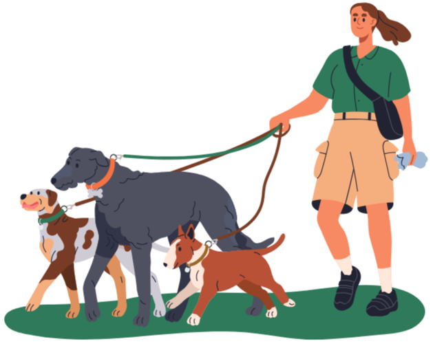 Cartoon of woman walking 3 dogs of various sizes