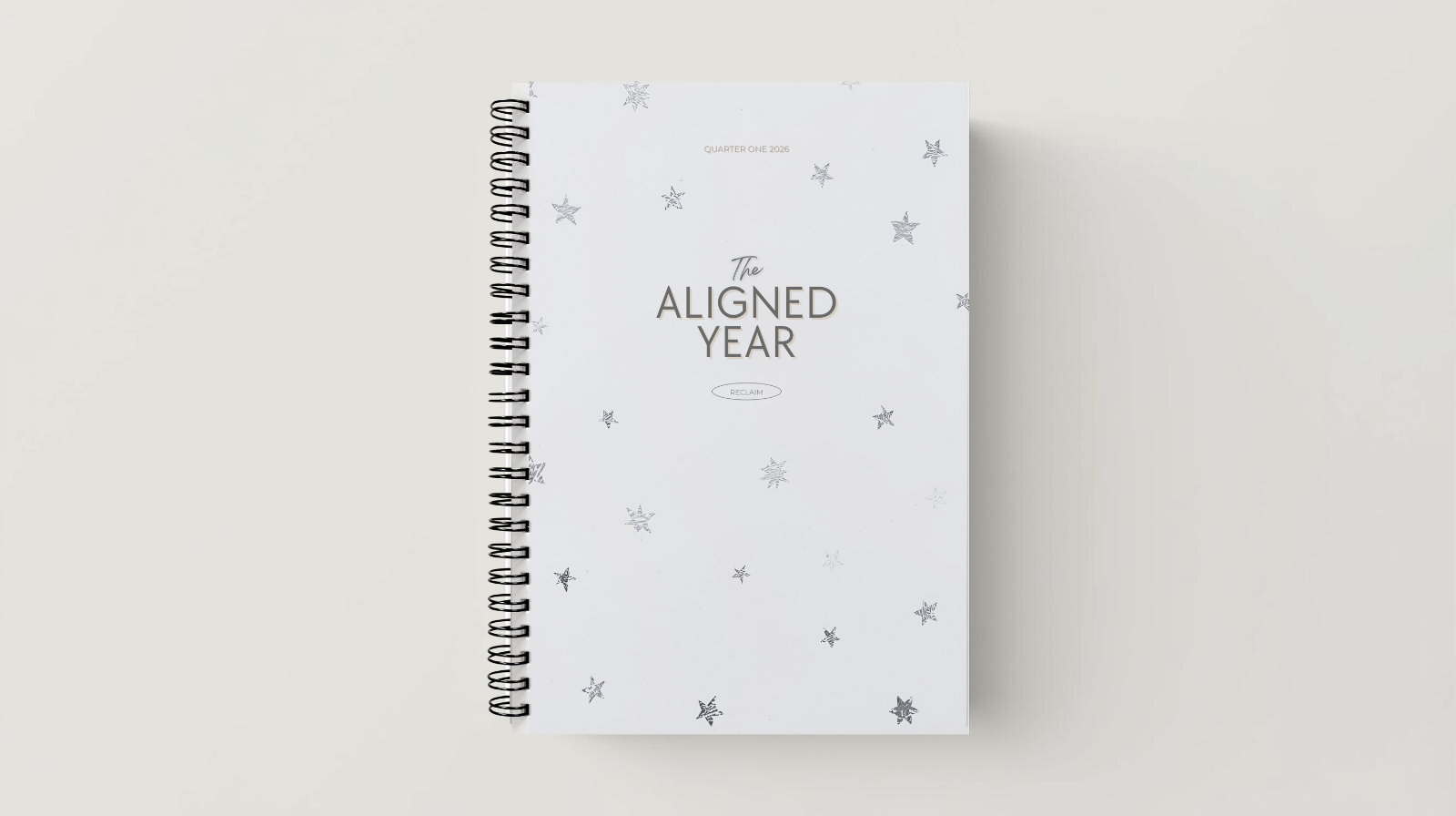The Aligned Year: Reclaim (Spiral Bound, Stone)